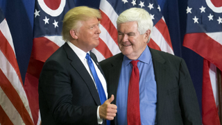 Newt Gingrich on Alleged Trump Sexual Assault: Just 'A Bad Airplane Flight' 30 Years Ago